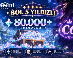 550 WISH VE C6 RAIDEN SHOGUN