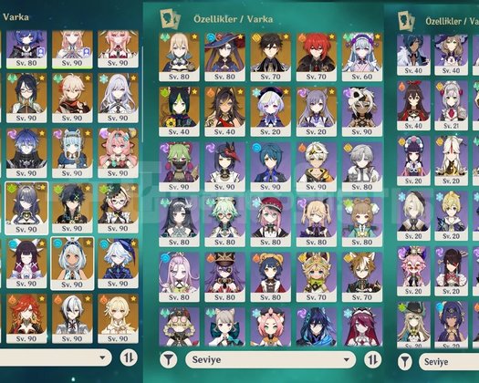 105x5 Endgame Hesap