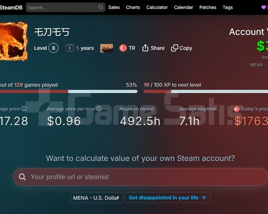 Steam Hesabı