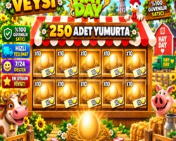 250 adet yumurta