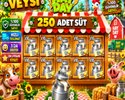 250 adet süt