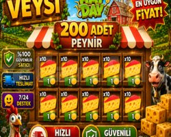 KAMPANYA 200 adet peynir