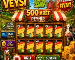 KAMPANYA 500 adet peynir
