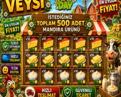 500 adet mandıra krema-tereyağı-peynir