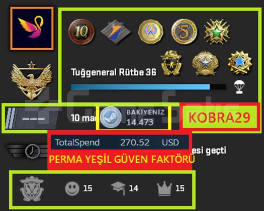 NADİR ! 10 MADALYA 1074 WİN 2676 SAAT SE