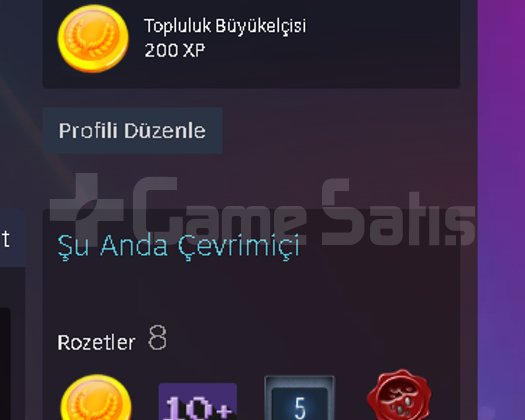 SİLİYORUM HER ŞEYİ
