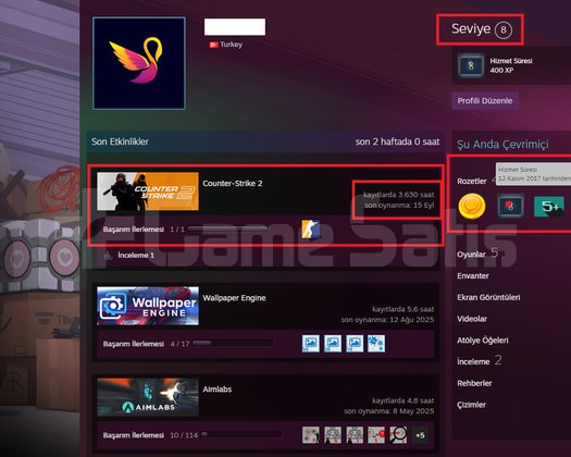 13 MADALYA 1333 WİN 3631 SAAT SEÇKİN