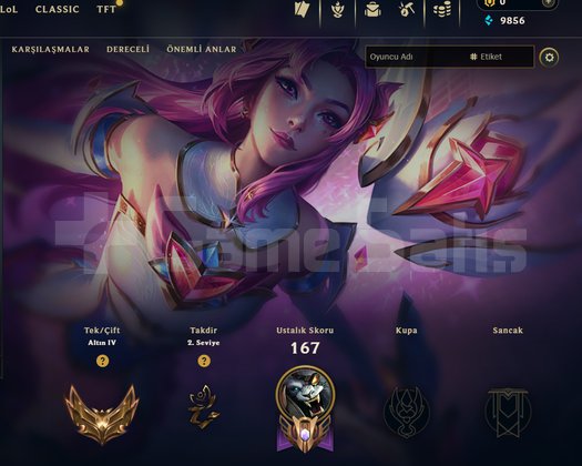 GOLD / ELLE KASILMIŞ / DERECELİ HAZIR