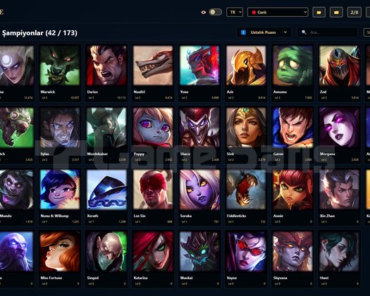 TR / 46 LVL + 5+1 SKİN + Gümüş 4 + OTO