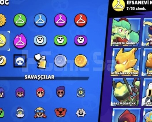 60 k 277 skin