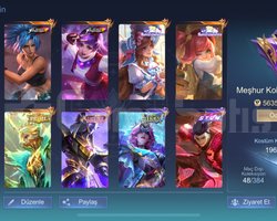 193 Skins | 2 KOF Karina, Guinevere