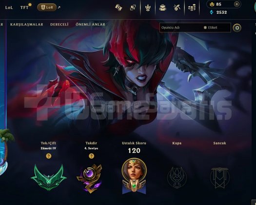TR ZÜMRÜT 4 ADC MAİN SKİNLİ / TFT Chibi