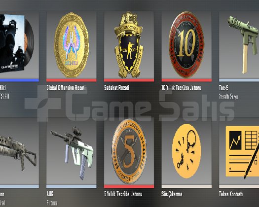 4 MADALYALI FACEİT DAYZ Battlefield 6 Bl