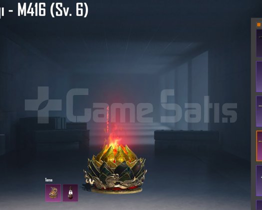 bugattili m4 6 lvl öğrenci hesabı