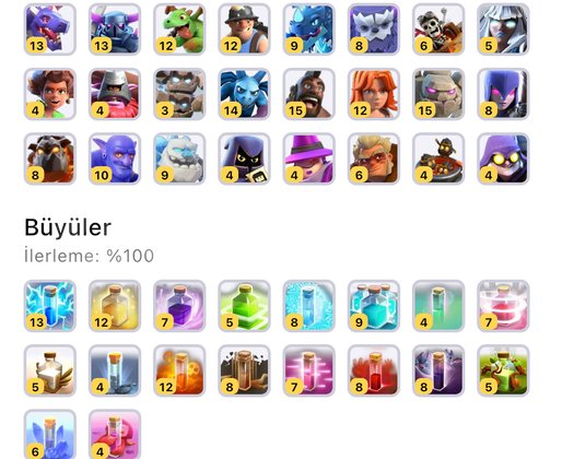 Th 18 Full Max 2500 Taş