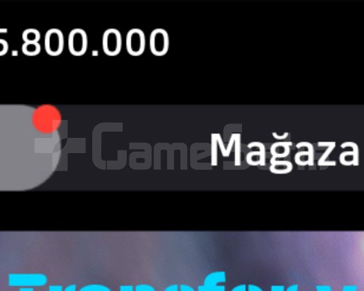 5M GP HESAP