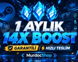 1 Aylık Discord 14X Boost