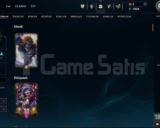 134 KOSTÜM+134 LVL+116 HERO+BRONZ 2
