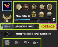 FACEİT+ 9 MADALYA 829 WİN 1690 SAAT