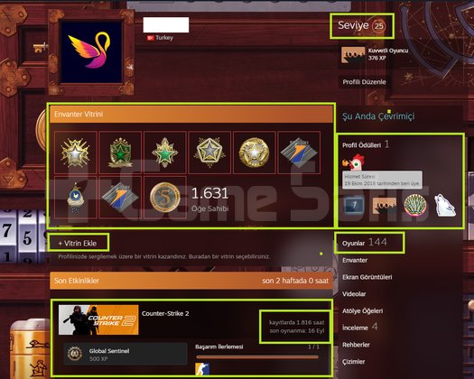 FACEİT+70K OYUN+11 MADALYA 470 WİN 1816