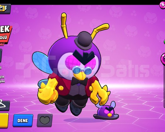 Efsane Brawl Stars Hesabı