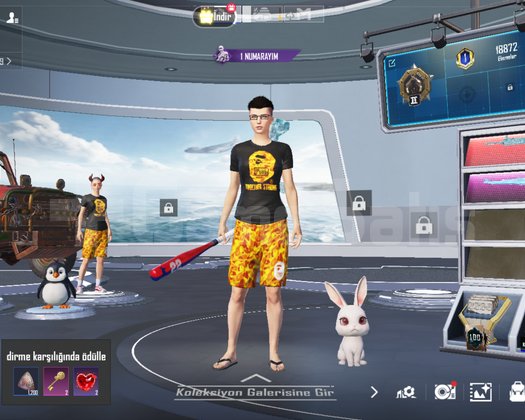 BAPE HESAP BEBEKK