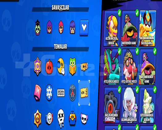 MASTER | MACHERİNO PİN | 103 K  |MAİN