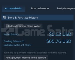 STEAM KISISEL HESAP - 65 dolar bakiye