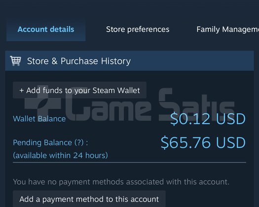 STEAM KISISEL HESAP - 65 dolar bakiye