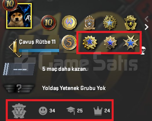 13 MADALYA 6300 SAAT MAİNLİK HESAP!
