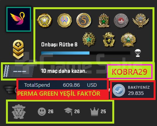50K OYUN+12 MADALYA 810 WİN 2667 SAAT