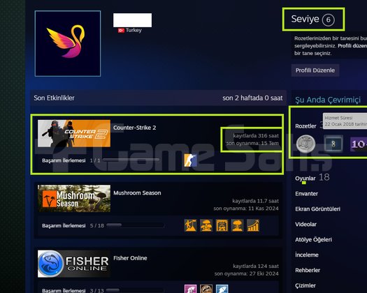 FACEİT+14K OYUN+4 MADALYA 91 WİN 316 SAA