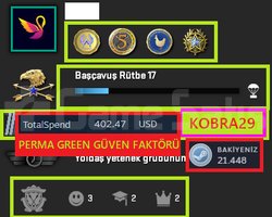 FACEİT+14K OYUN+4 MADALYA 91 WİN 316 SAA
