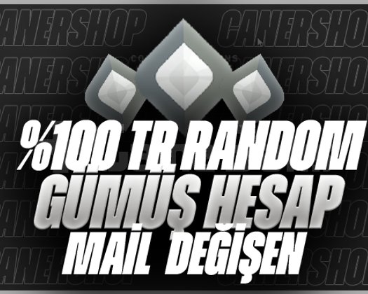 TRSV/EL İLE KASILMIŞ GÜMÜŞ /DİREK TESLİM