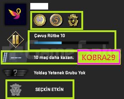 FACEİT+ 3 MADALYA 31 WİN 71 SAAT SEÇKİN