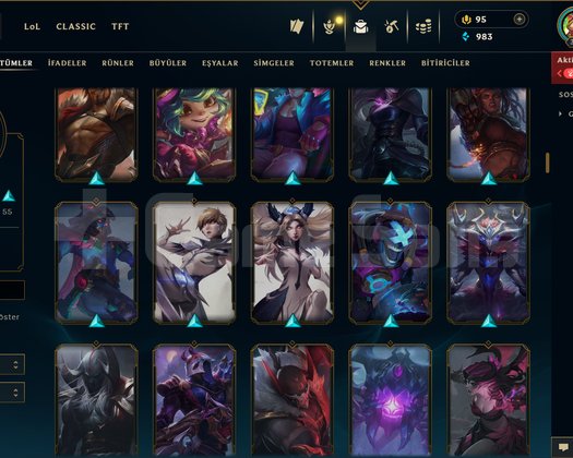 316 LEVEL / 191 SKİN / 172 HERO