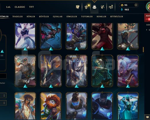 316 LEVEL / 191 SKİN / 172 HERO