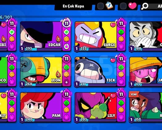 Brawl Stars 70K Kupalı + TR + 316 Kostüm