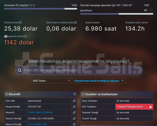 10 Yıllık Dolu Steam Hesabı