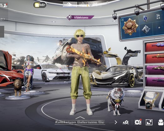 3 SPOR ARABA MUHTEŞEM PUBG HESABİ
