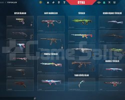 Ejder Vandal + Ion Phantom + 45 SKİN