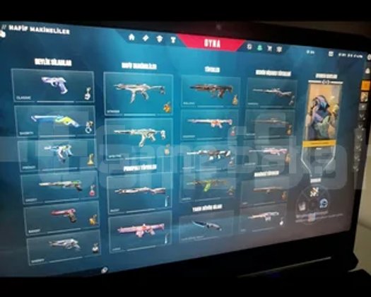 Mainlenmelik Tr Gold 3 Dolu