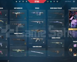 VALORANT BOL SKİNLİ CHAMPİONS 24 SETLİ H