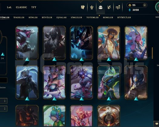 EUW/ 162 LVL/ 50+ KOSTÜM/ MAİL DEĞİŞİR