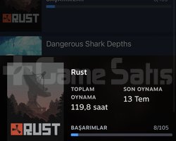 13k lık oyun var içinde rust ve 2 oyun