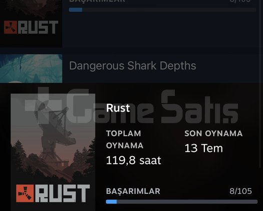 13k lık oyun var içinde rust ve 2 oyun