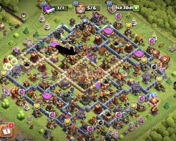 Max bb16
