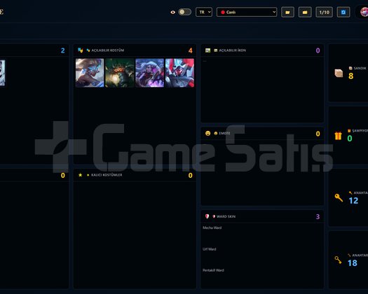 TR / 125 LVL + 27 SKİN + Derecesiz + OTO