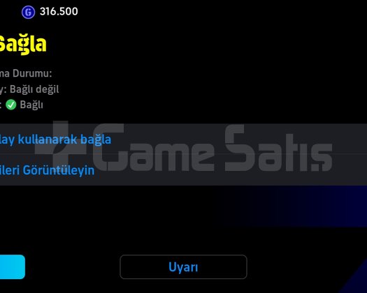 3172+ PES HESAP