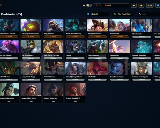 EUW/ 271 LVL + 85+120 SKİN + Bronz 1 OTO